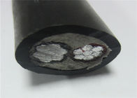 2 Core Low Voltage Cable Stranding Circular Conductor Steel Wire Armoured Xlpe Cable